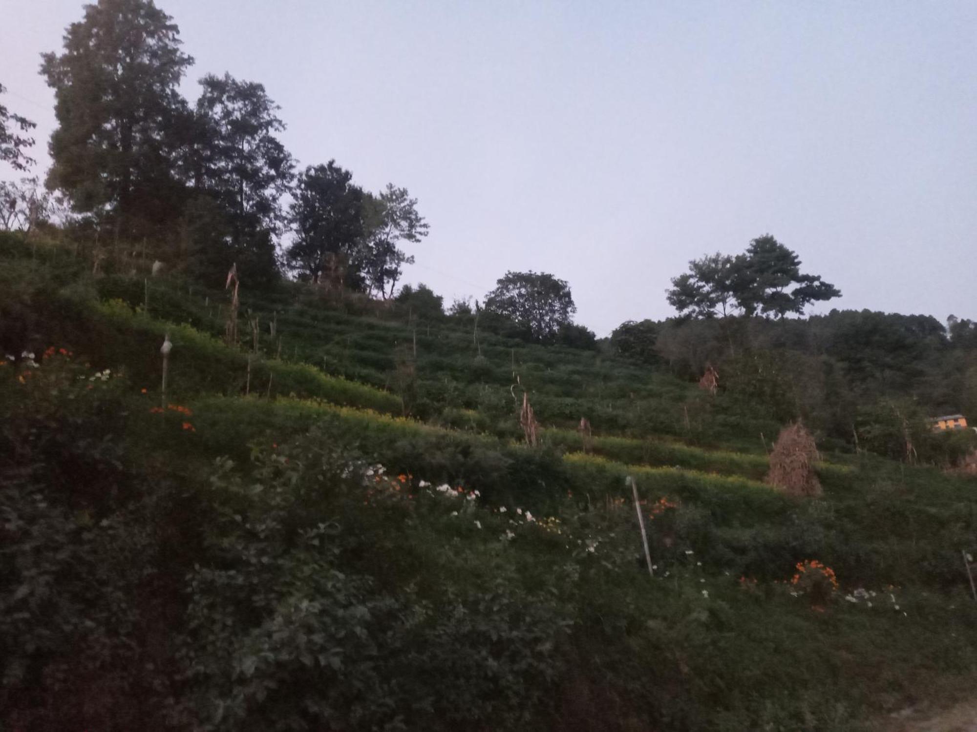 Unique Point Home Stay 나가르코트 외부 사진