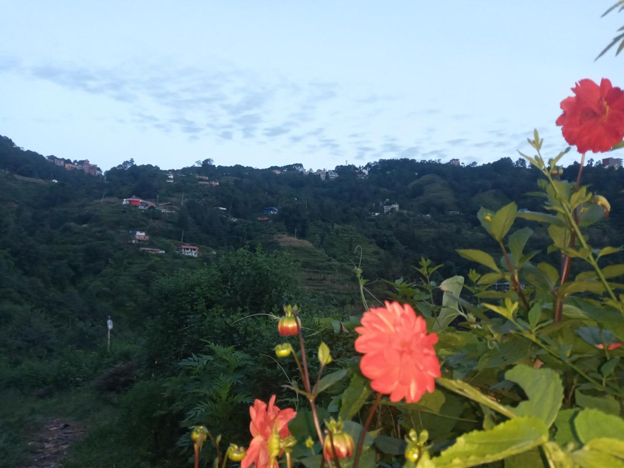 Unique Point Home Stay 나가르코트 외부 사진