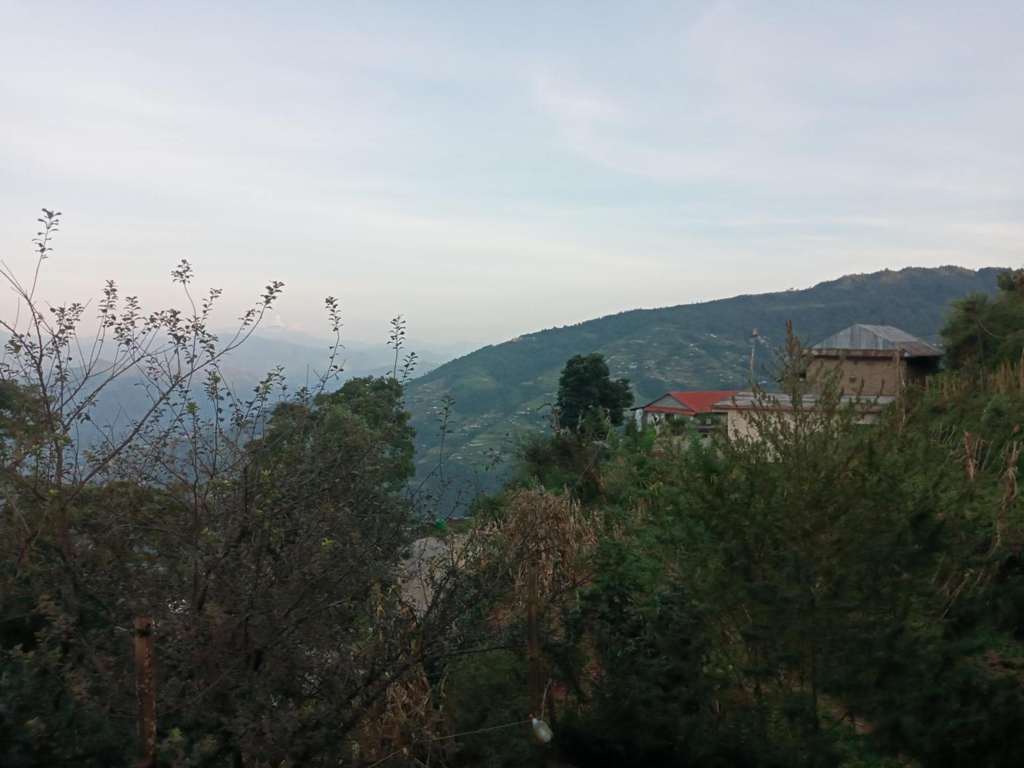 Unique Point Home Stay 나가르코트 외부 사진